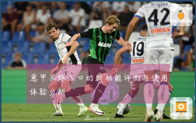 意甲买球入口的新功能评测与使用体验分析