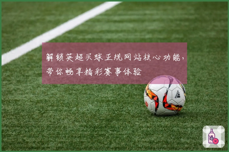 解锁英超买球正规网站核心功能，带你畅享精彩赛事体验