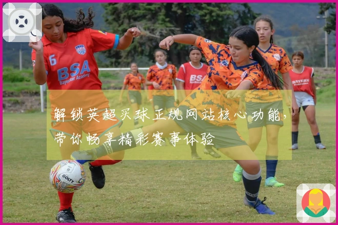 解锁英超买球正规网站核心功能，带你畅享精彩赛事体验