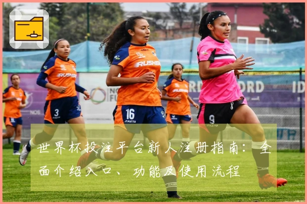 世界杯投注平台新人注册指南：全面介绍入口、功能及使用流程
