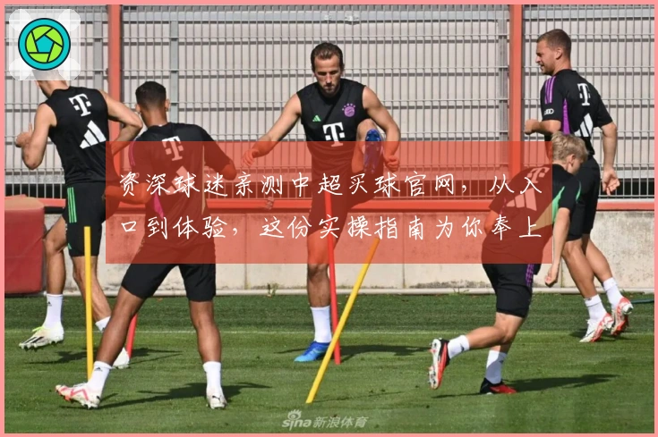 资深球迷亲测中超买球官网，从入口到体验，这份实操指南为你奉上