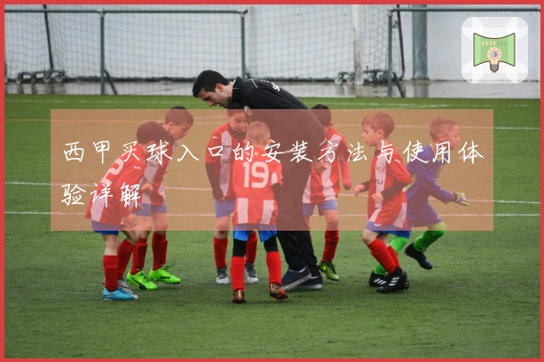 西甲买球入口的安装方法与使用体验详解