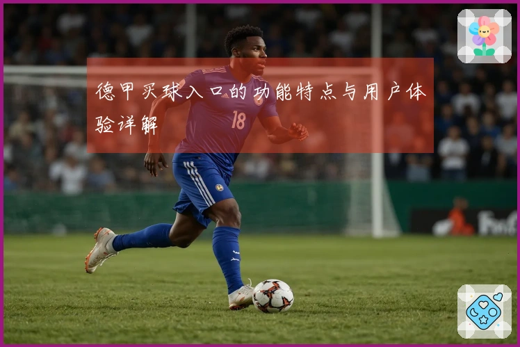 德甲买球入口的功能特点与用户体验详解