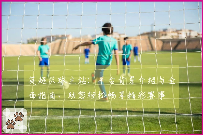 英超买球主站：平台背景介绍与全面指南，助您轻松畅享精彩赛事