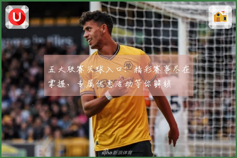 五大联赛买球入口：精彩赛事尽在掌握，专属优惠活动等你解锁