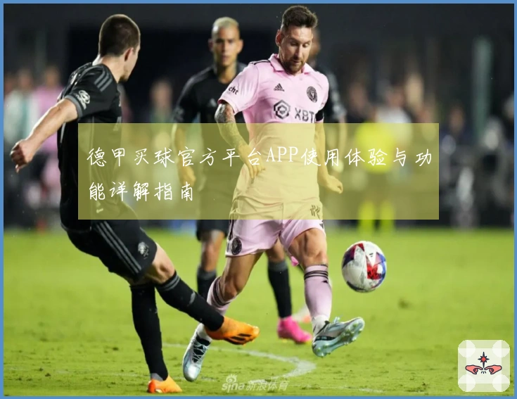 德甲买球官方平台APP使用体验与功能详解指南